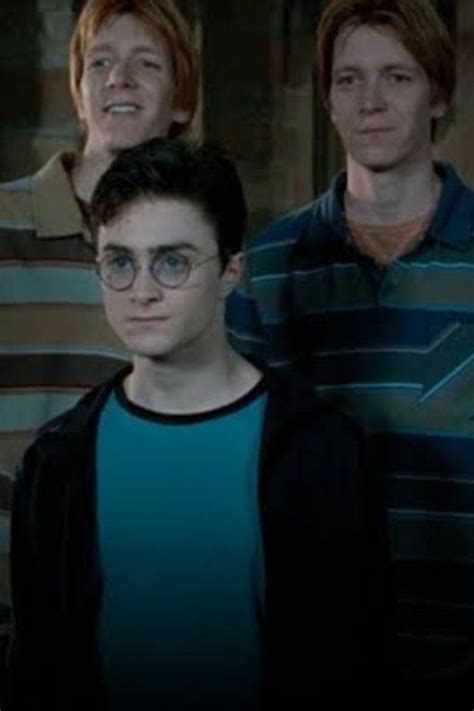 Harry Potter and the Unexpected Twin Chapter 13, a harry.